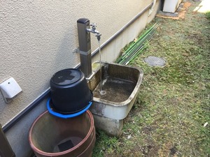 井戸水