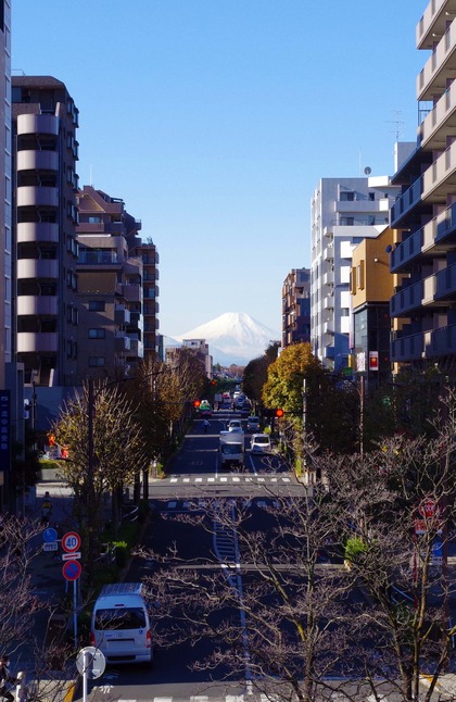 写真　富士見テラスから見た富士山