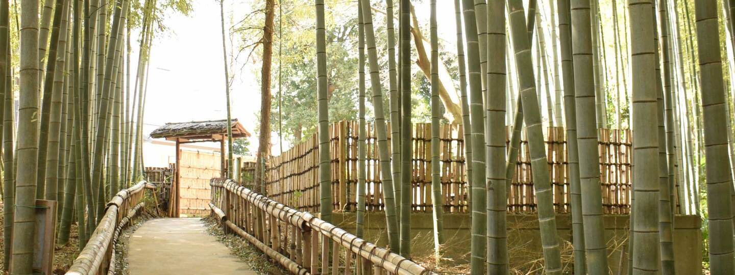 竹林公園