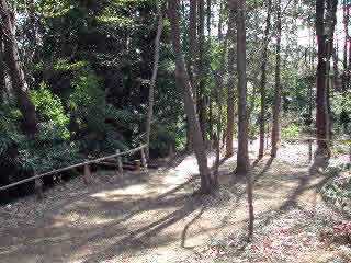 南沢緑地保全地域の写真2