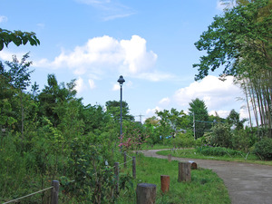 南沢水辺公園の写真