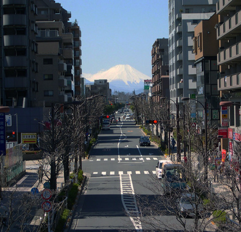 富士見テラスから見た日中の富士山の写真