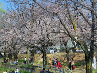 白山公園の写真