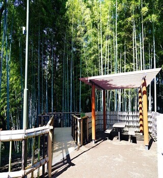 写真　竹林公園 入口