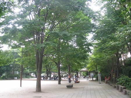 西口中央公園　全景