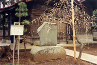 柳窪梅林の碑