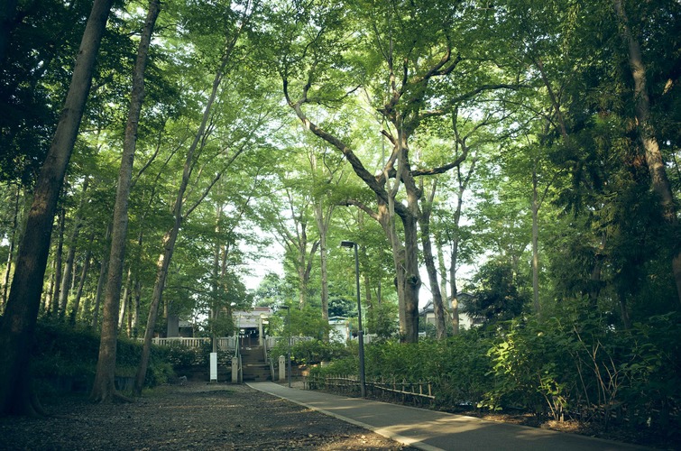 27.8.2夏の柳窪天神社