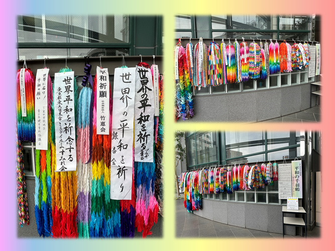 昨年度展示の様子