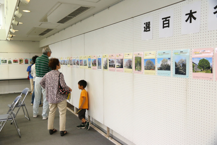 「東久留米の名木百選写真展」風景（会場：スペース105）