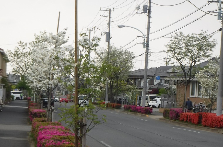 新所沢街道