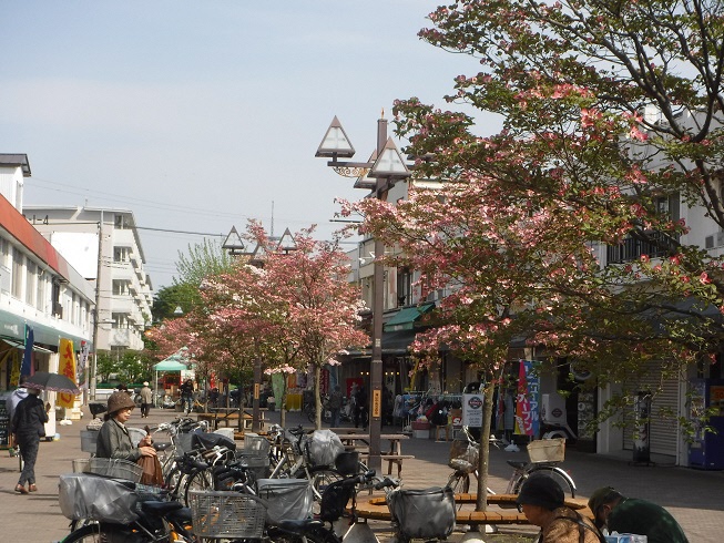 滝山団地センター