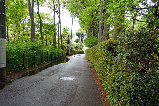 屋敷林の写真