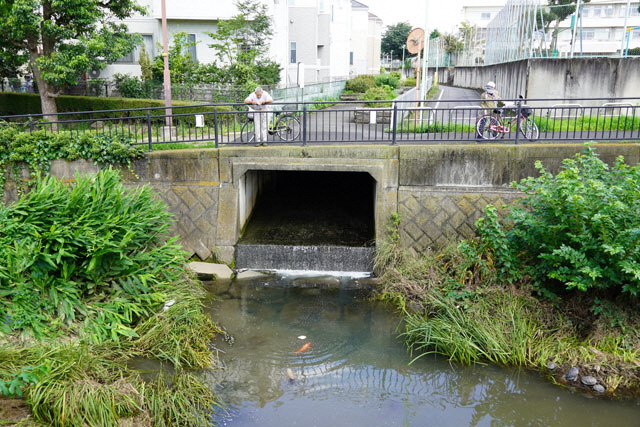 出水川合流点