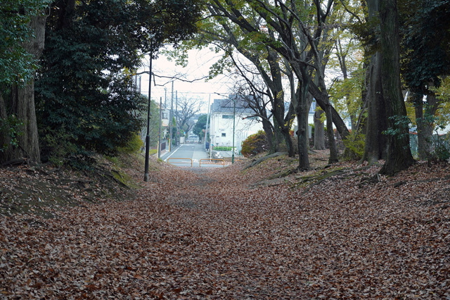 滝山公園