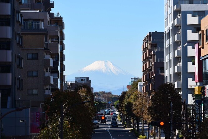 画像　市内から撮影した富士山