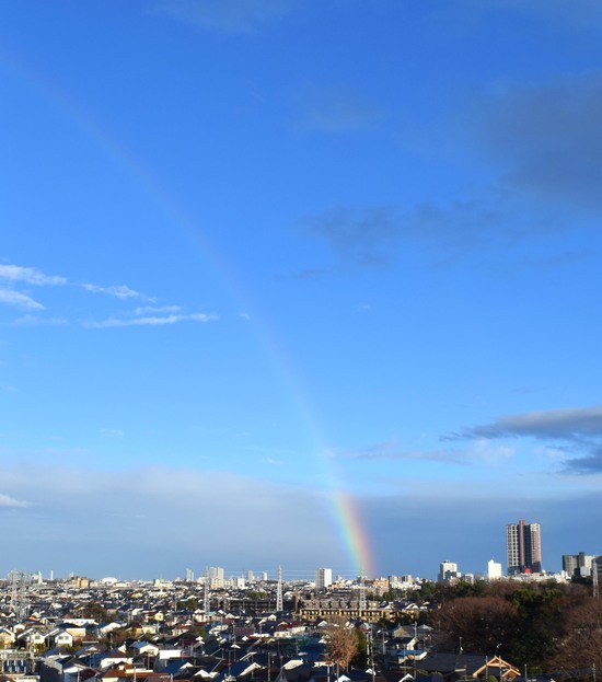 市役所から見た虹