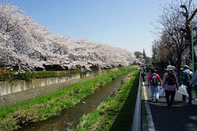 黒目川沿い