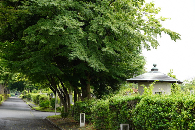 東久留米市内の写真