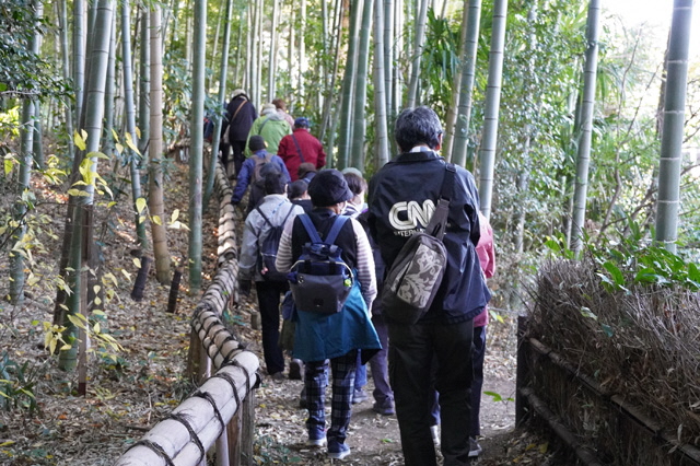写真（竹林公園）