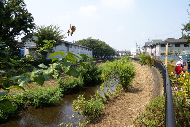 川沿いの道画像