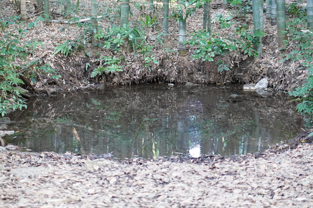 湧水の写真