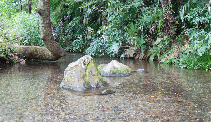 画像　南沢湧水群（沢頭湧水）