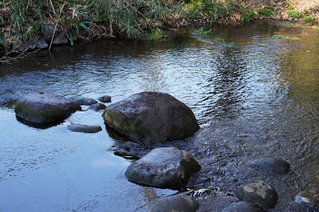 湧水の画像