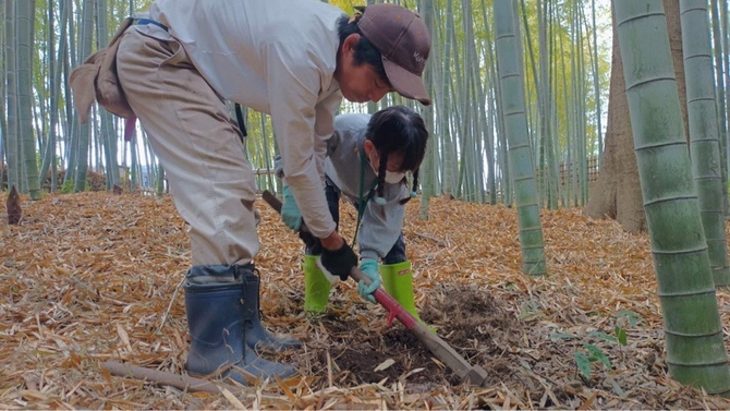 竹林公園第1回ワークショップ（たけのこ掘り）