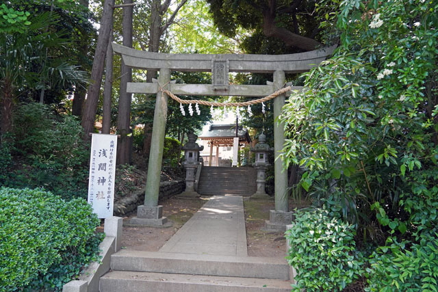 写真3