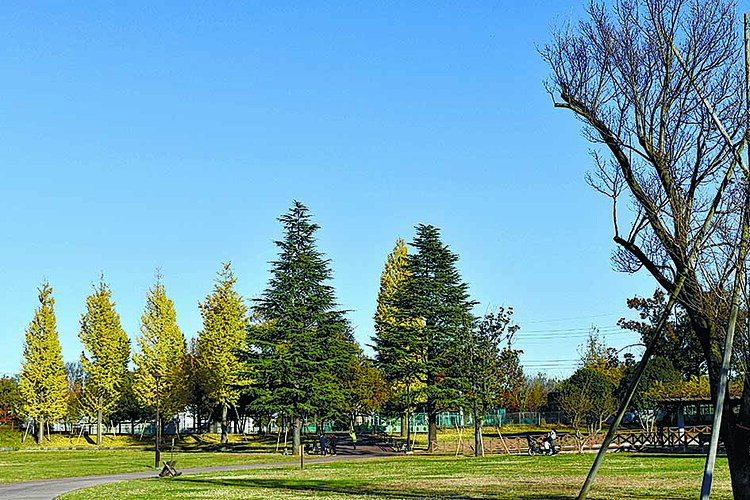 六仙公園