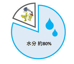 生ごみの中の水分量の円グラフ