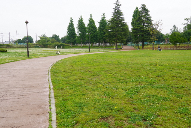 写真4