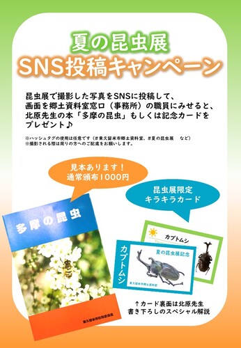 SNS周知画像