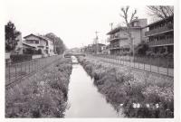 写真：落合川