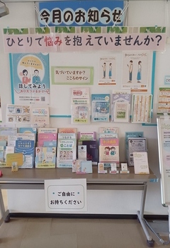 展示の様子