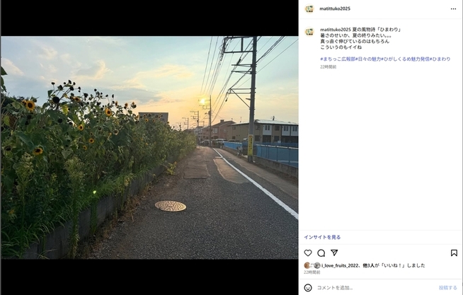 投稿内容