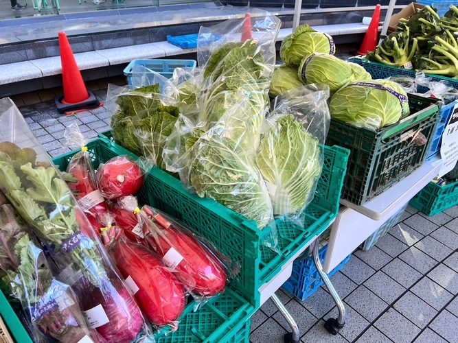 野菜