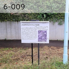 6-009（外部リンク・新しいウインドウで開きます）