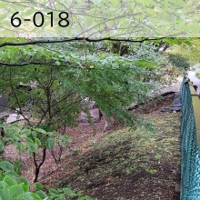 6-018（外部リンク・新しいウインドウで開きます）