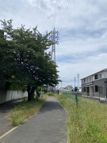 たての緑地(緑道）入り口
