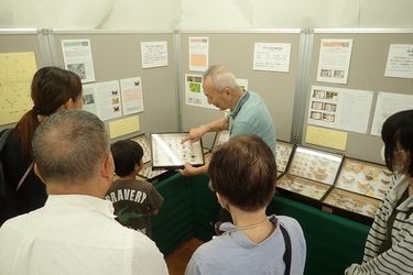 昨年の展示解説の様子