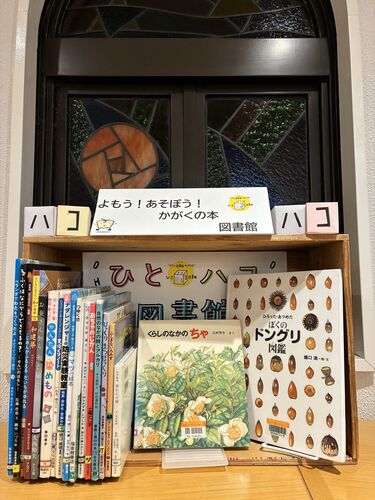 写真：ひとハコ図書館01